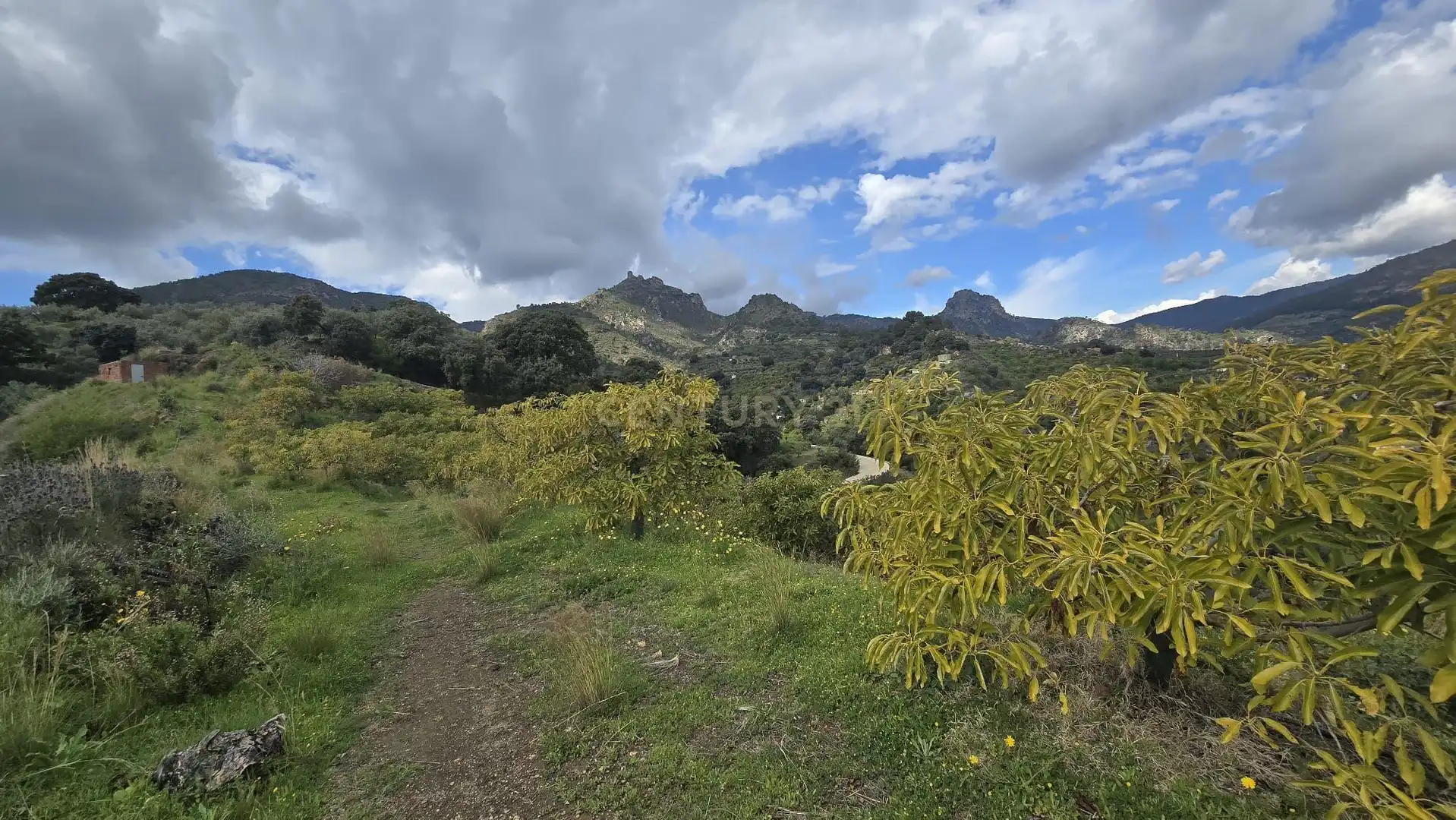 Terreno rustico in vendita a Polígono 11 Parcela 122 EL CERRILLO. LOS GUAJARES (GRANADA), imagen 3