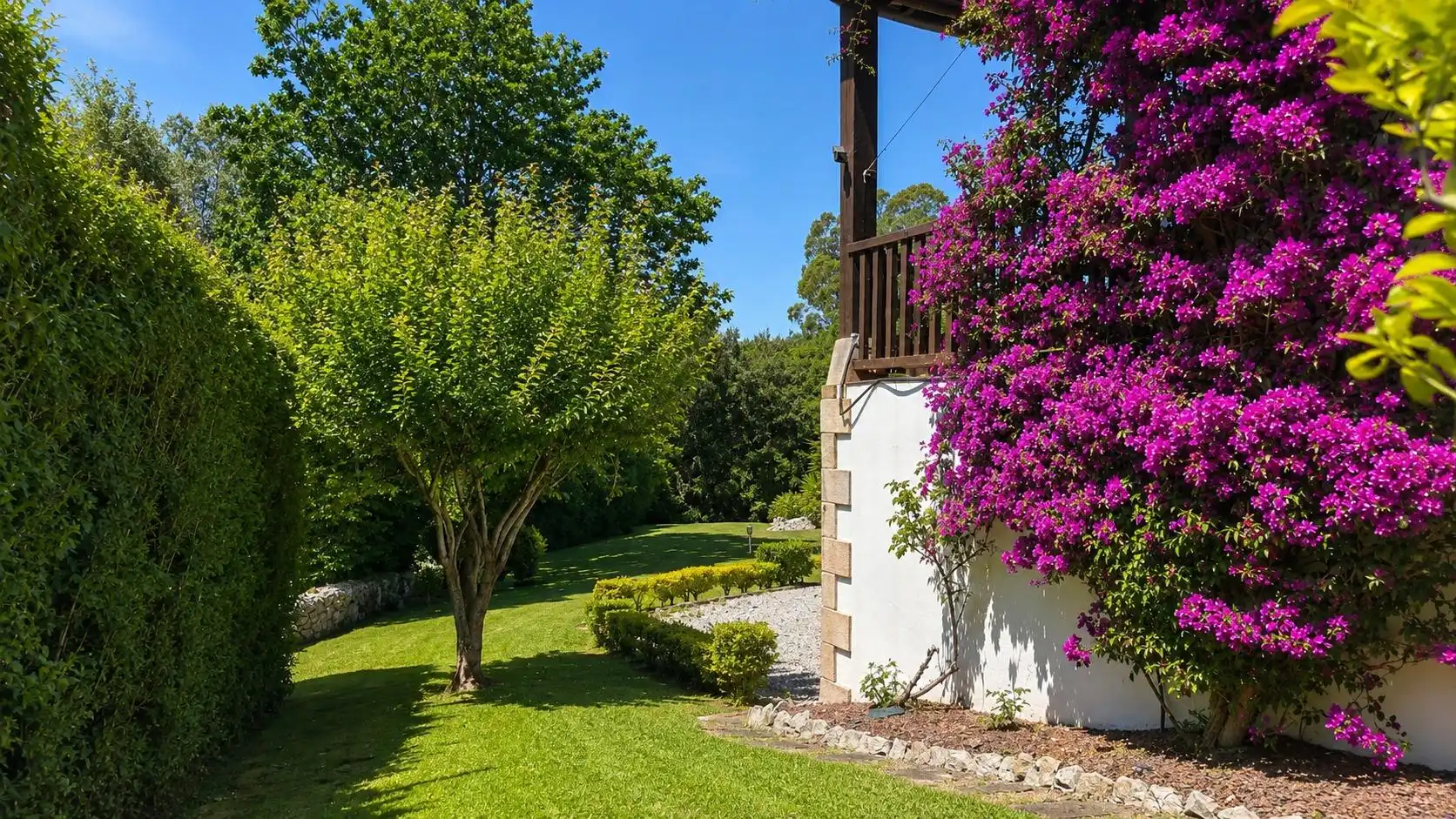 Jardín de Casa o chalet en venta en Ruiloba con Calefacción, Jardín privado y Terraza