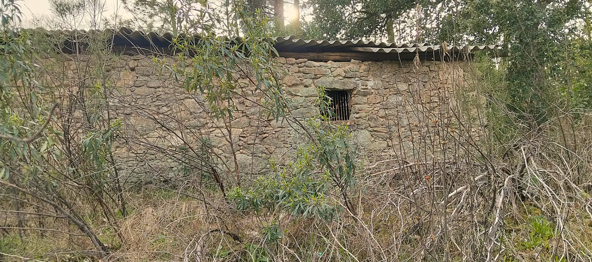 Vista exterior de Terreno en venta en Collado de la Vera