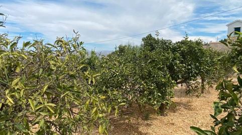 Photo 5 of Land for sale in Centro, Málaga