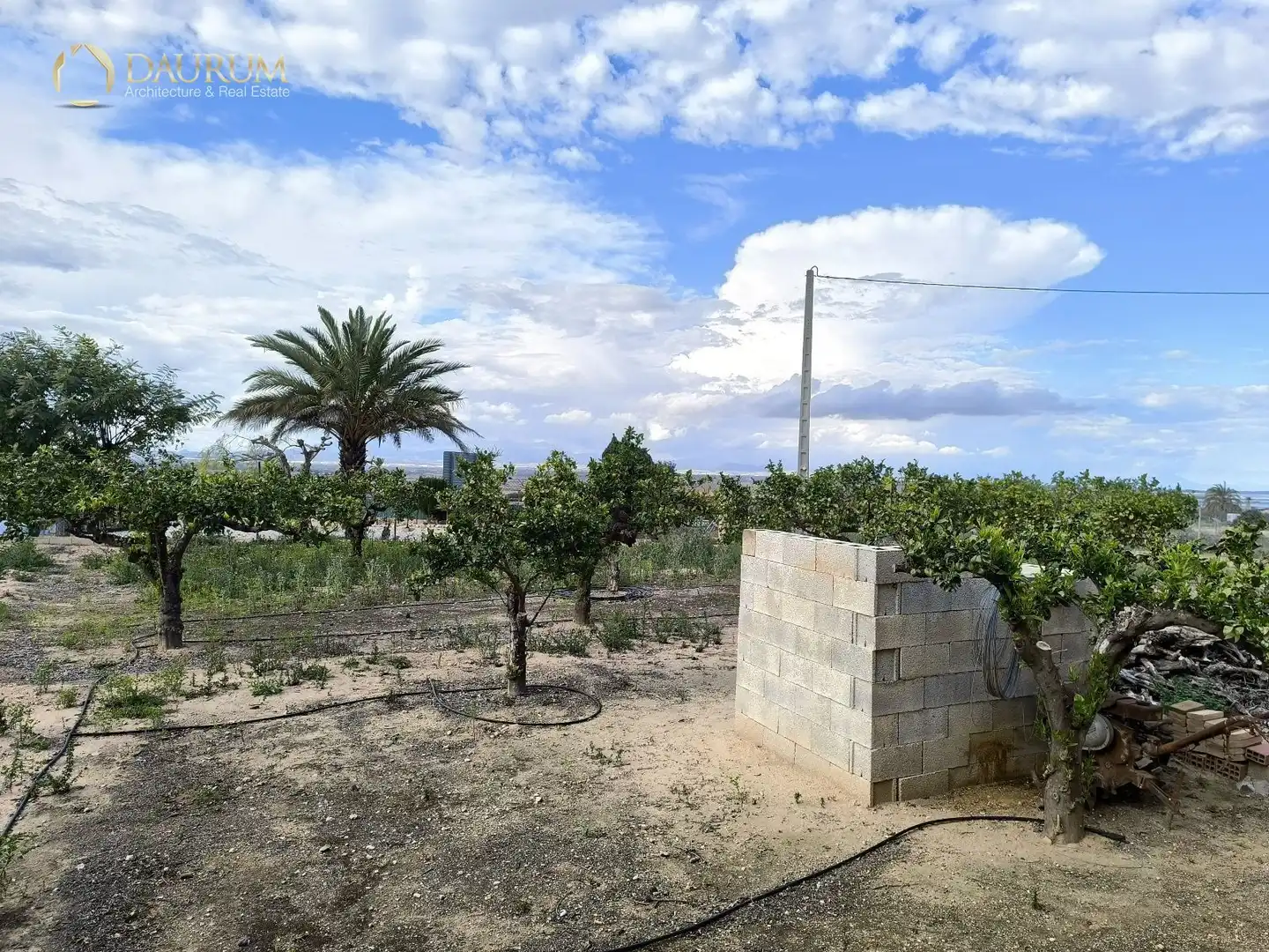 Casa o chalet en venta en Elche / Elx