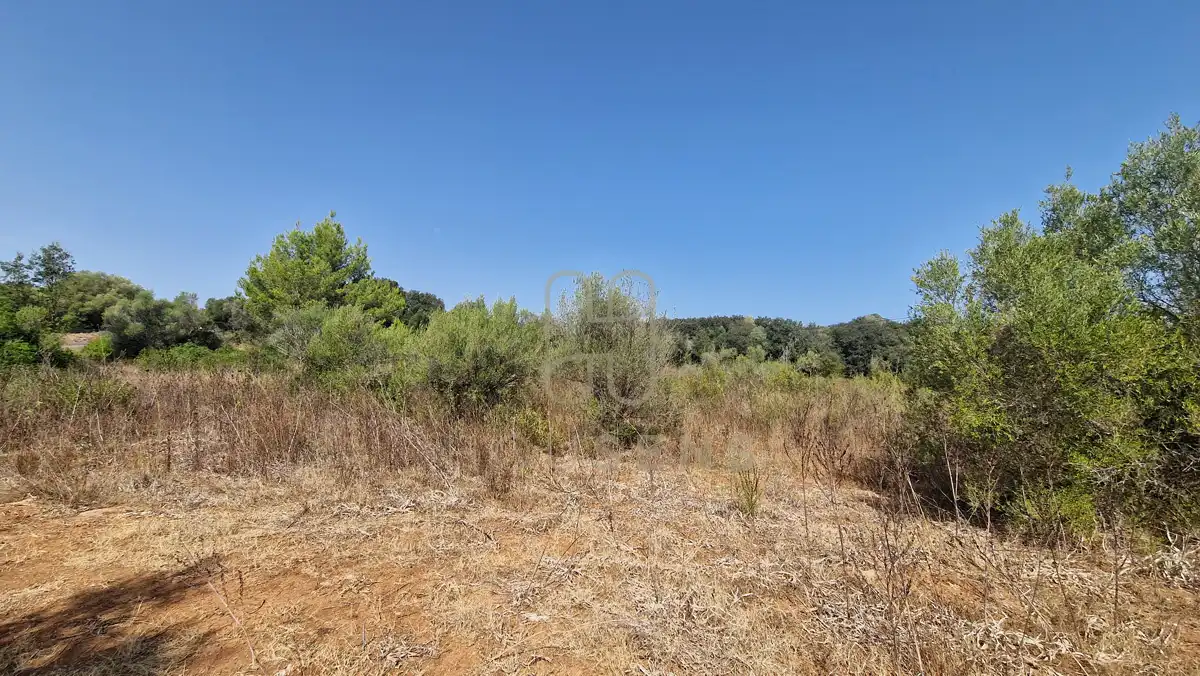 Terreny residencial en venda a Artà Poble