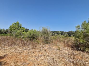 Wohnbaugrundstück zum Verkauf in Artà Poble