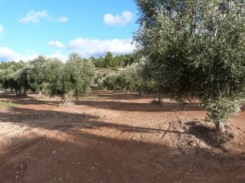 Finca rústica en venta en Valjunquera