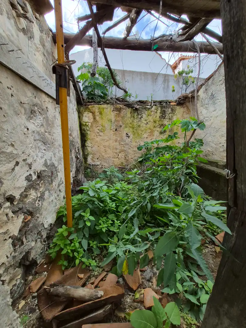 Rural land for sale in Camino la Cueva del Rey, imagen 40