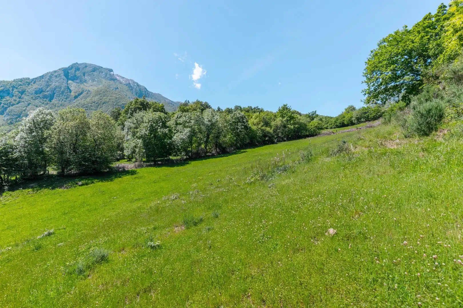 Casa o chalet en venta en Quirós