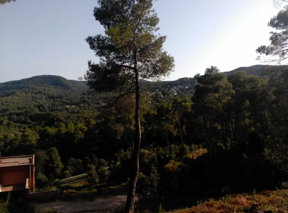Terreni e lotti in vendita a Corbera de Llobregat, imagen 11