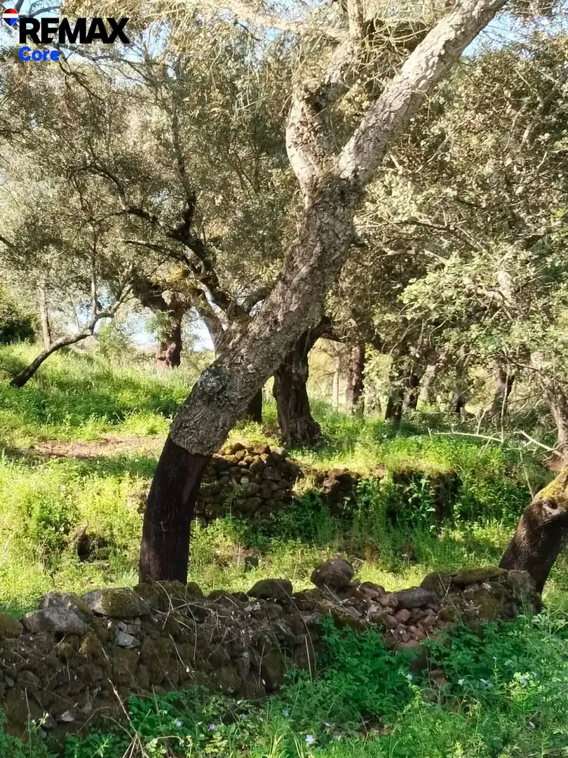 Terreni e lotti in vendita a Jerez de los Caballeros, imagen 13