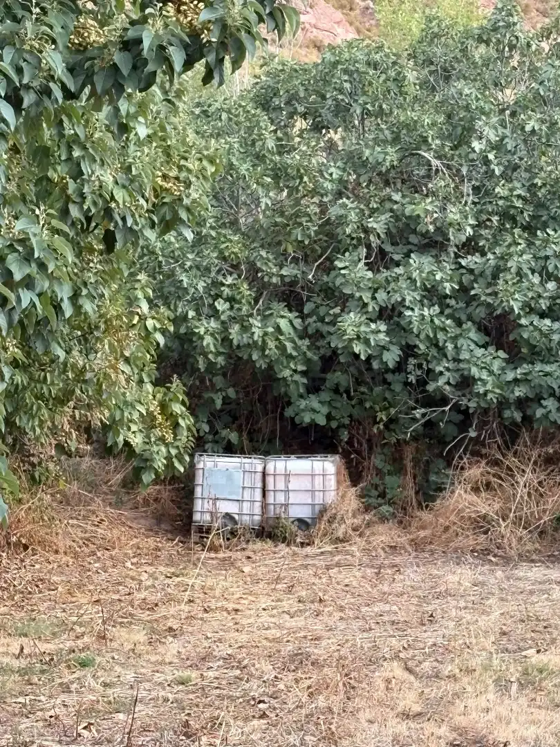 Terreno rústico en venta en Albelda de Iregua, imagen 18