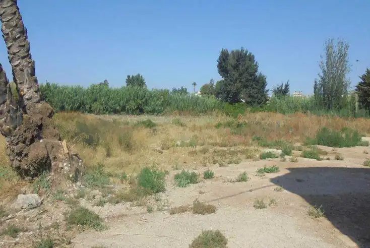 Terreny residencial en venda a Calle Virgen de Los Dolores 7, imagen 4