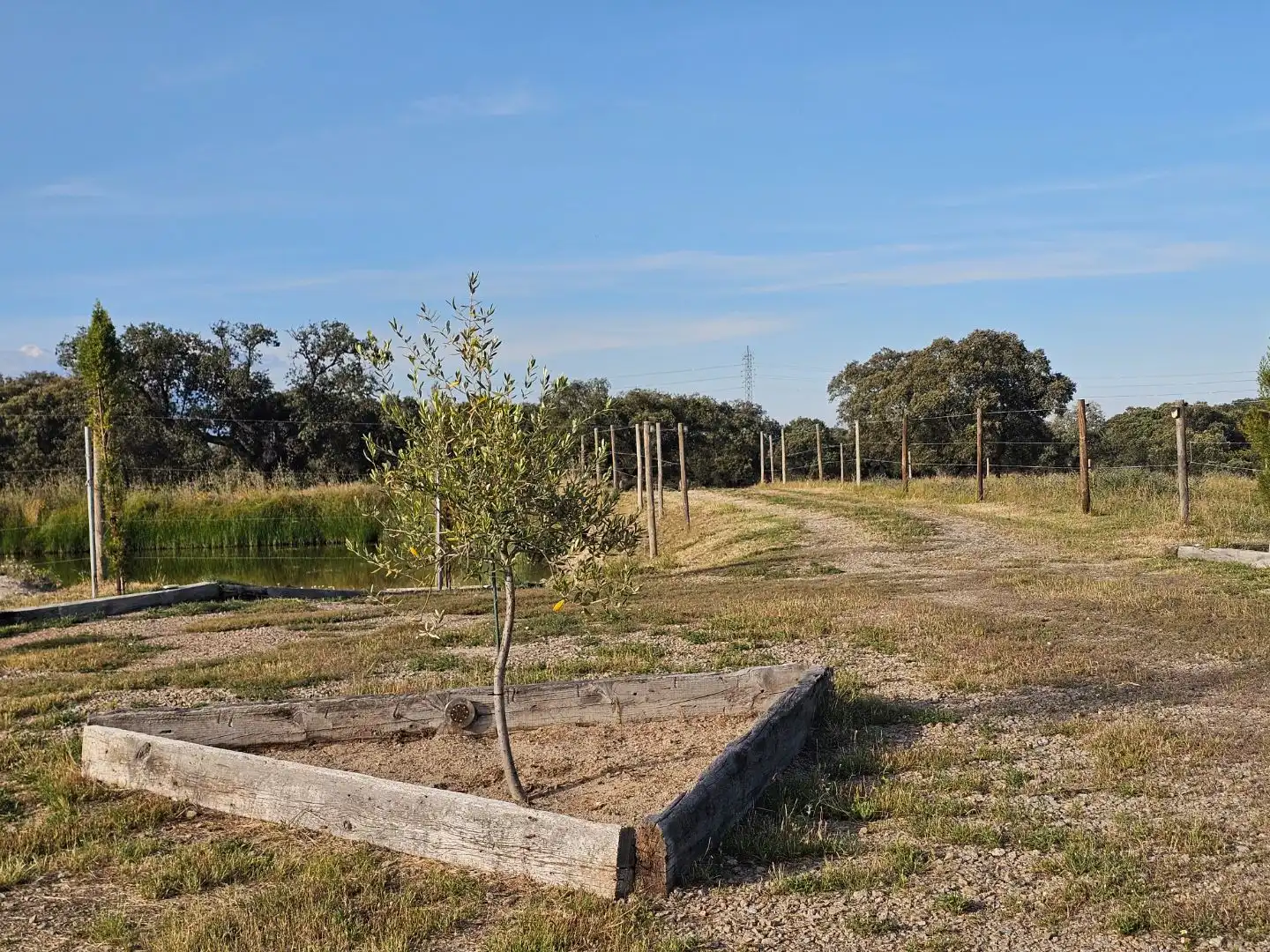 Terreno en venta en Navalmoral de la Mata