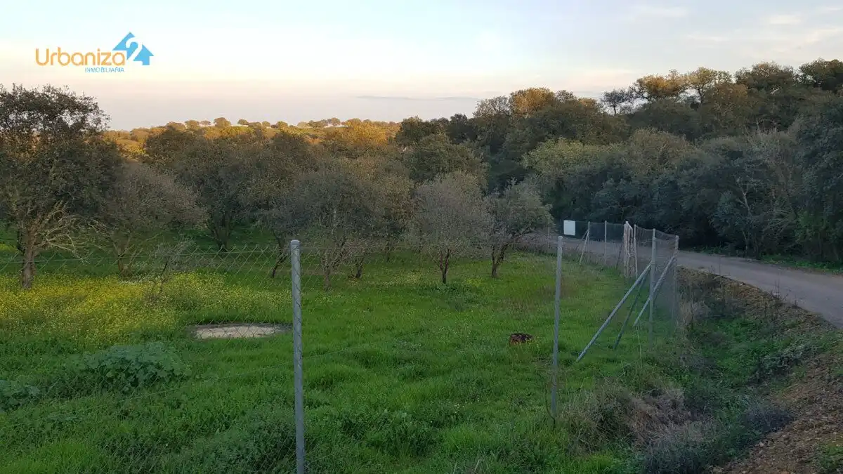 Terreni e lotti in vendita a Calle hortelano, imagen 18