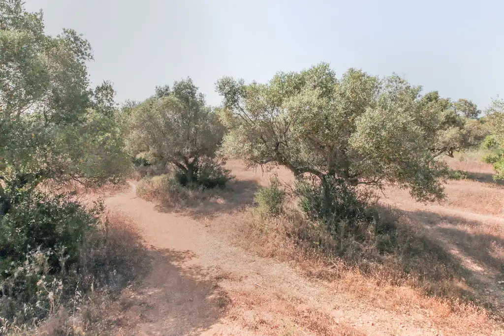 Rural land for sale in C/ Roquetes, imagen 16
