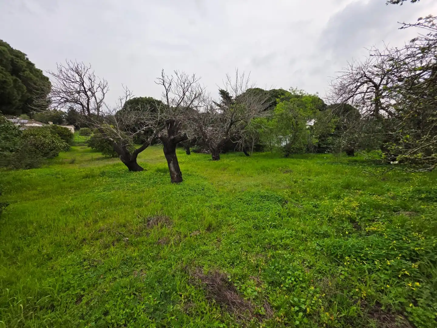 Country homes for sale in Chiclana de la Frontera  with Private garden, Storage room and Swimming Pool