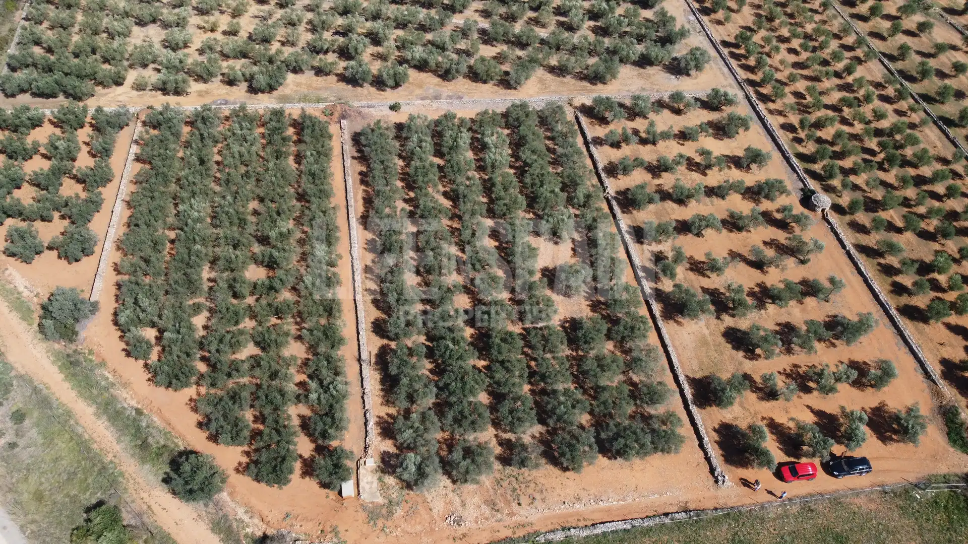 Terreno rustico in vendita a Freginals, imagen 8