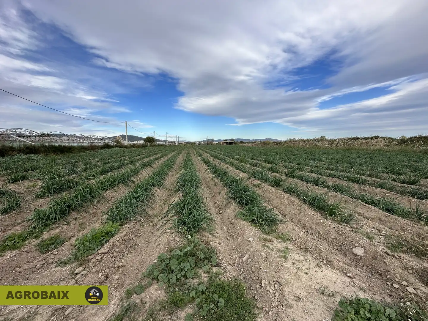 Rural land for sale in Torrent Ballester, imagen 7
