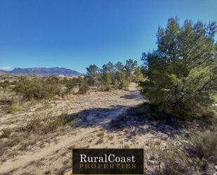 Land for sale in Jijona / Xixona