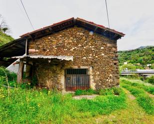 Vista exterior de Casa o xalet en venda en Mieres (Asturias) amb Piscina