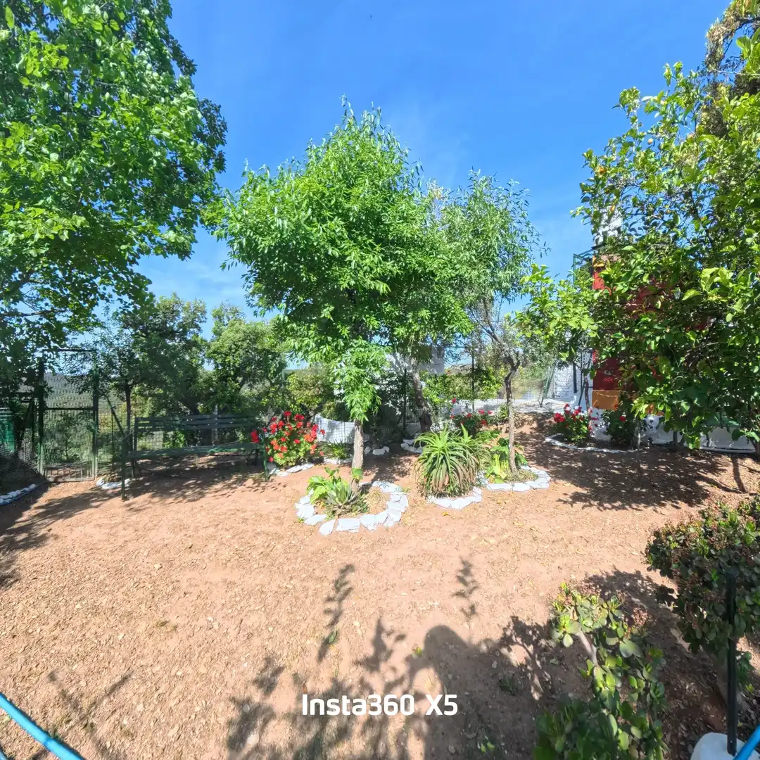 Jardín de Terreno en venta en Berrocal