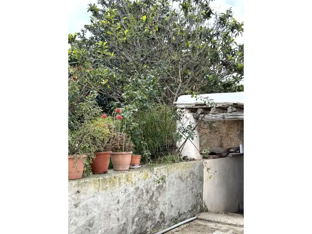 Jardí de Casa o xalet en venda en Sant Josep de sa Talaia