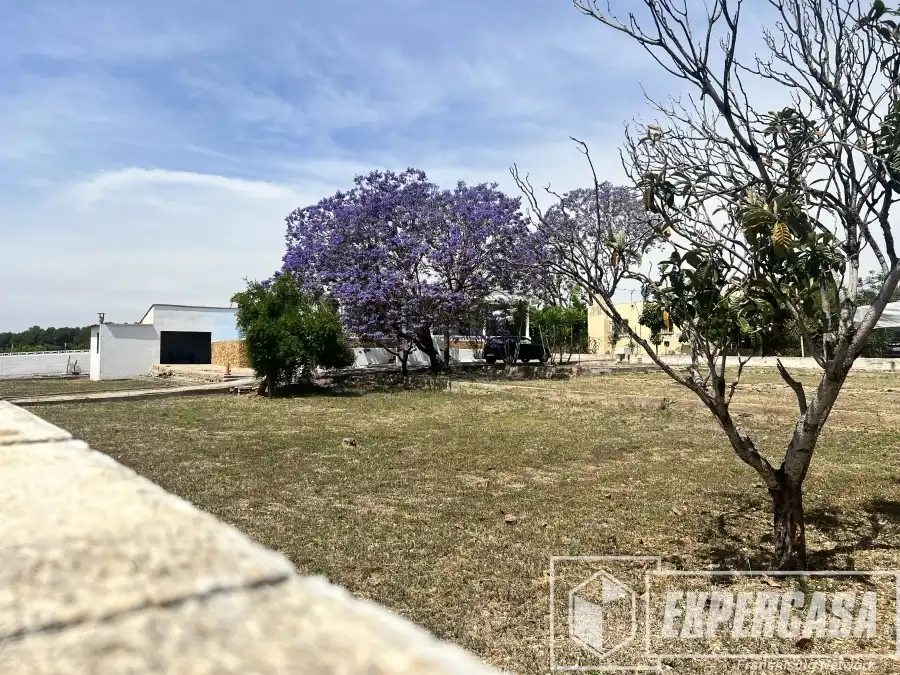Casa o xalet en venda en Torrent amb Terrassa i Piscina