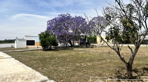 Foto 4 de Casa o xalet en venda a Font de la Teula - Mas de Pavia, Torrent