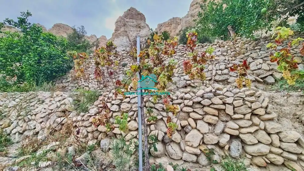 Terreny rústic en venda a Camino Polígono 8 Parcela 200 EL BARRANC. JIJONA/XIXONA, imagen 11
