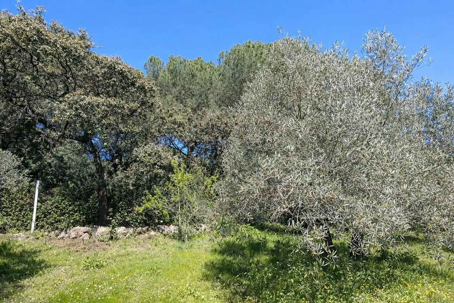 Finca rústica en venda en Andújar amb Jardí privat i Terrassa