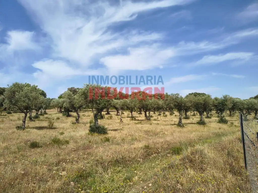 Finca rústica en venda en Talaván