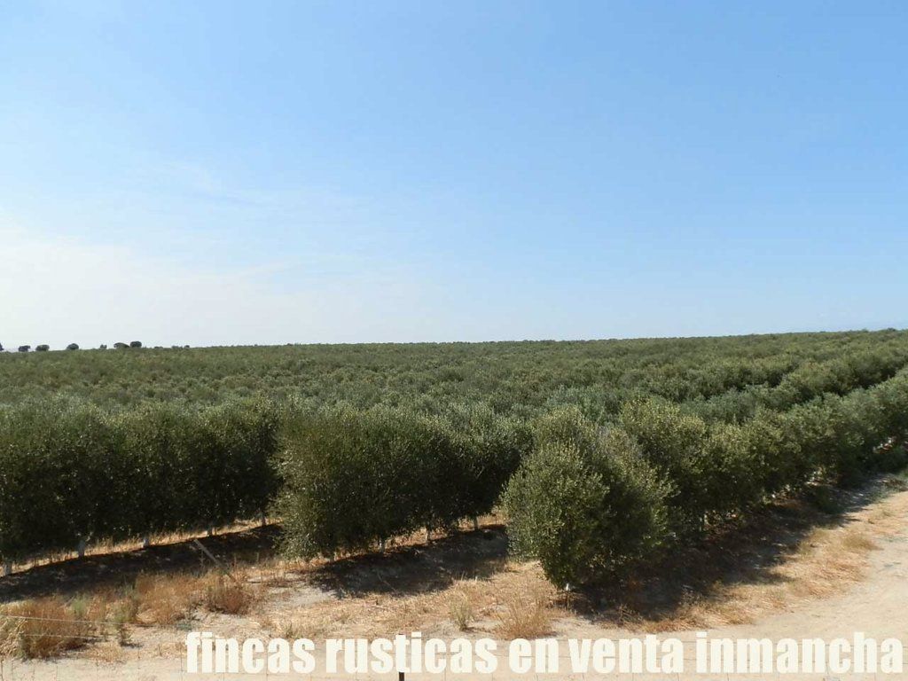 Land for sale in Talavera de la Reina