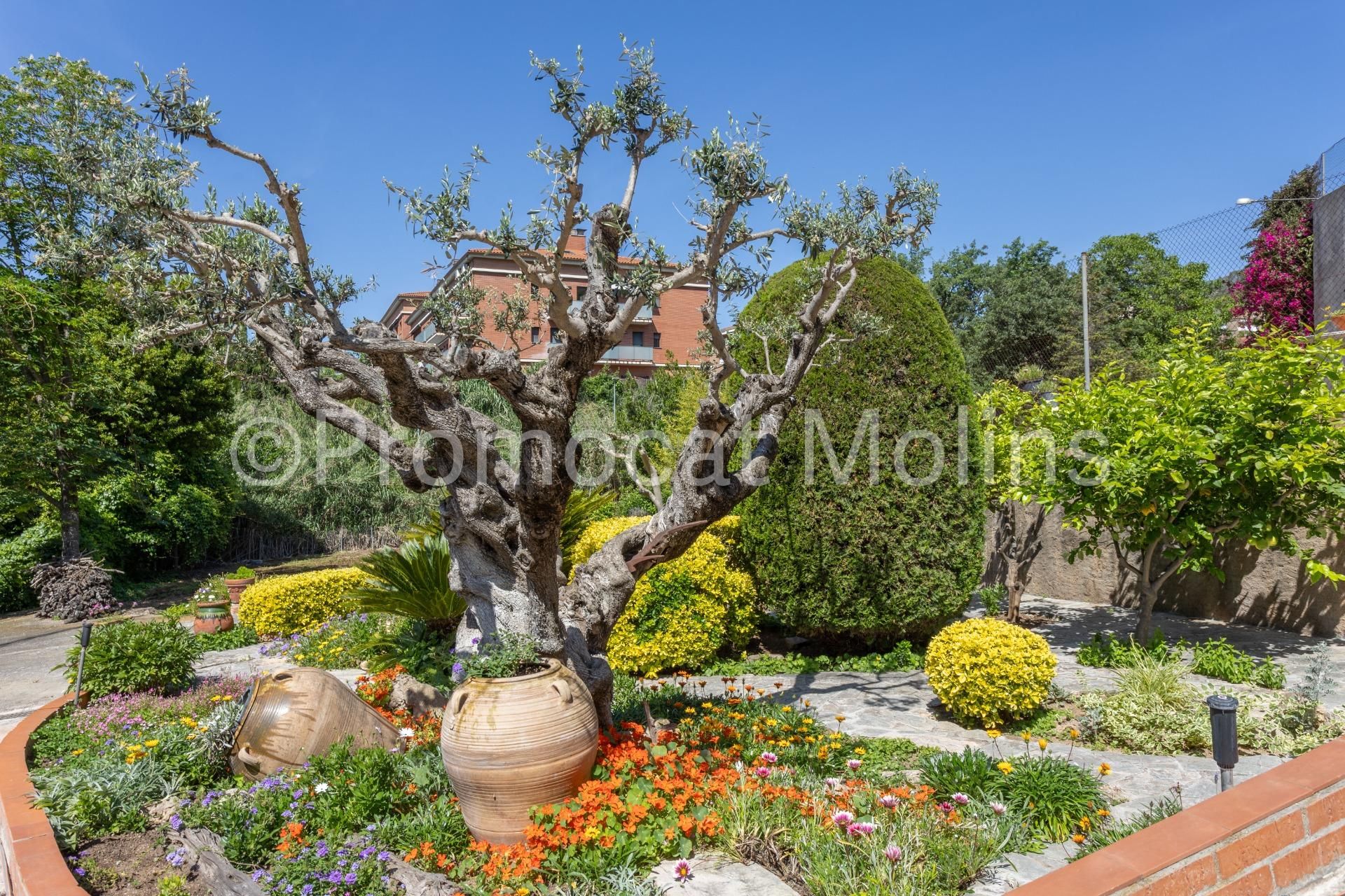 Jardí de Casa o xalet en venda en La Palma de Cervelló amb Calefacció, Jardí privat i Terrassa