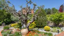 Garden of House or chalet for sale in La Palma de Cervelló  with Heating, Private garden and Terrace