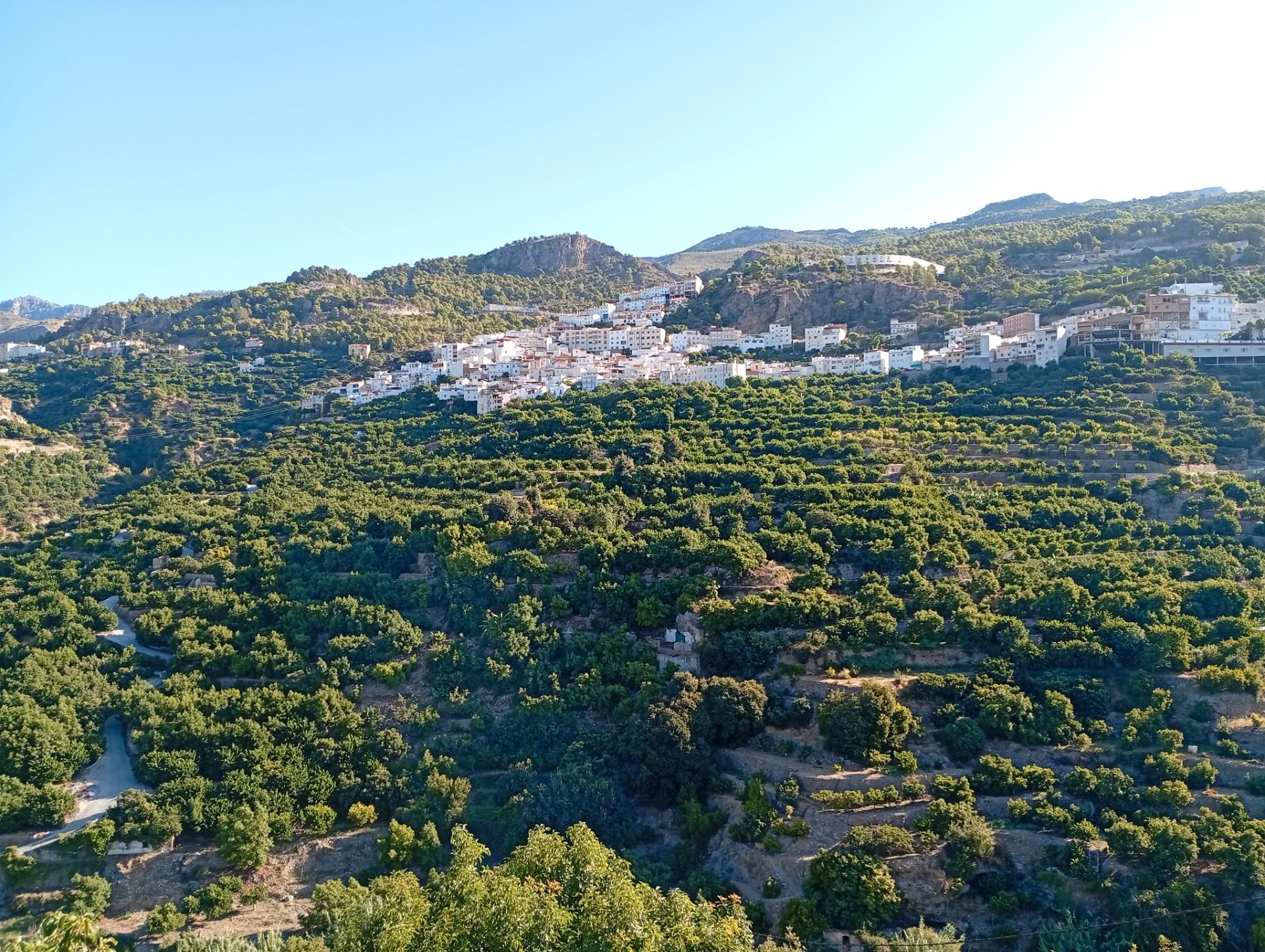 Finca rústica en venda a Camino de Otivar a Granada, Jete