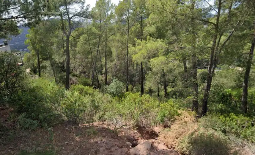 Residential land for sale in Carrer Camí del Moliner 55, imagen 12