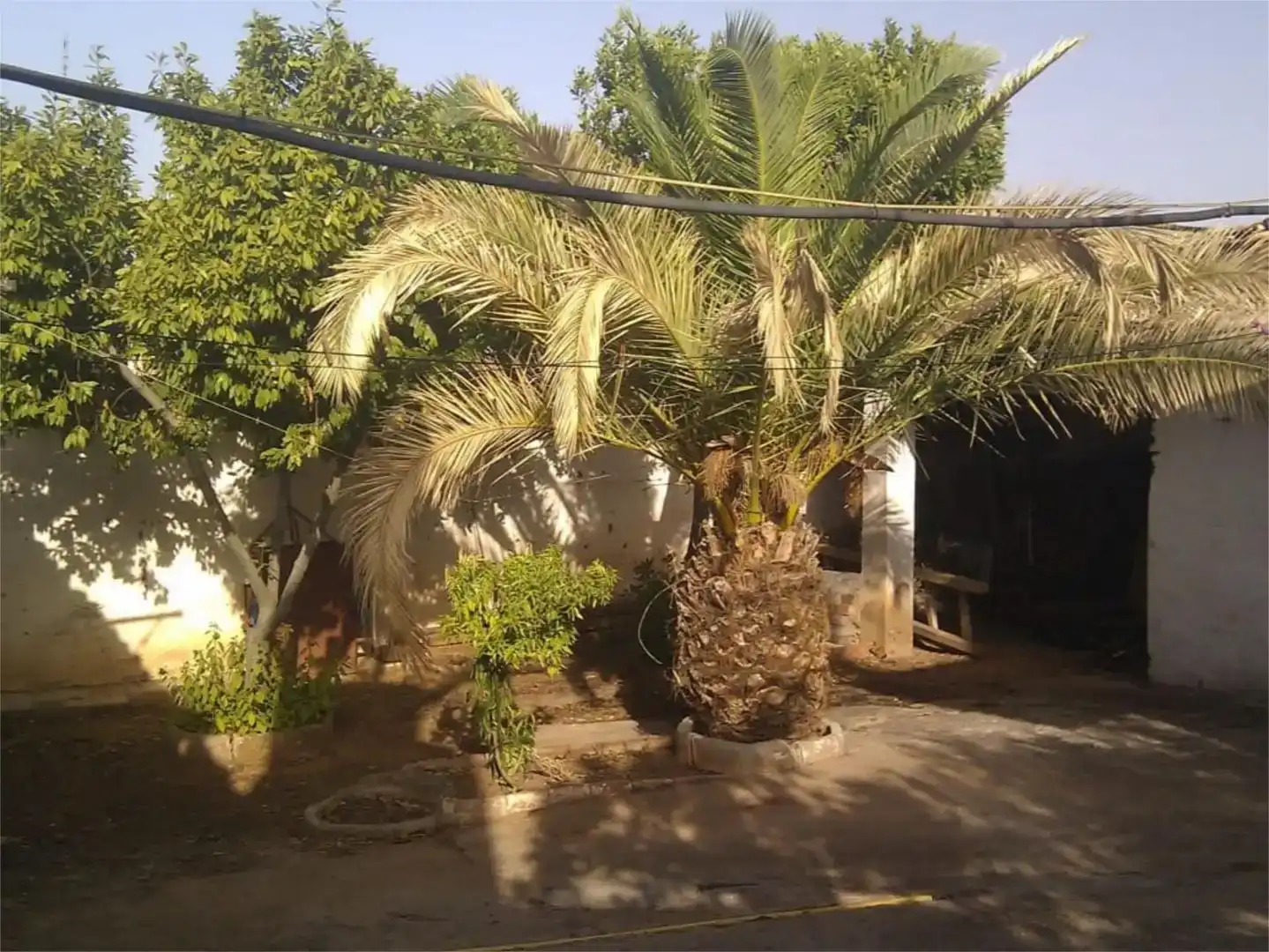 Jardí de Finca rústica en venda en San Carlos del Valle, Ciudad Real