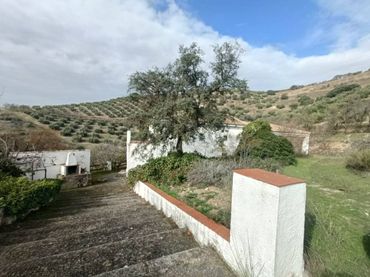 Casa rústica amb jardí en venda a Calle Polígono 49 16