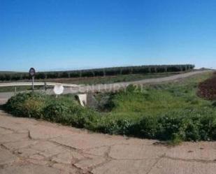 Finca rústica en venda en Villalba de los Barros