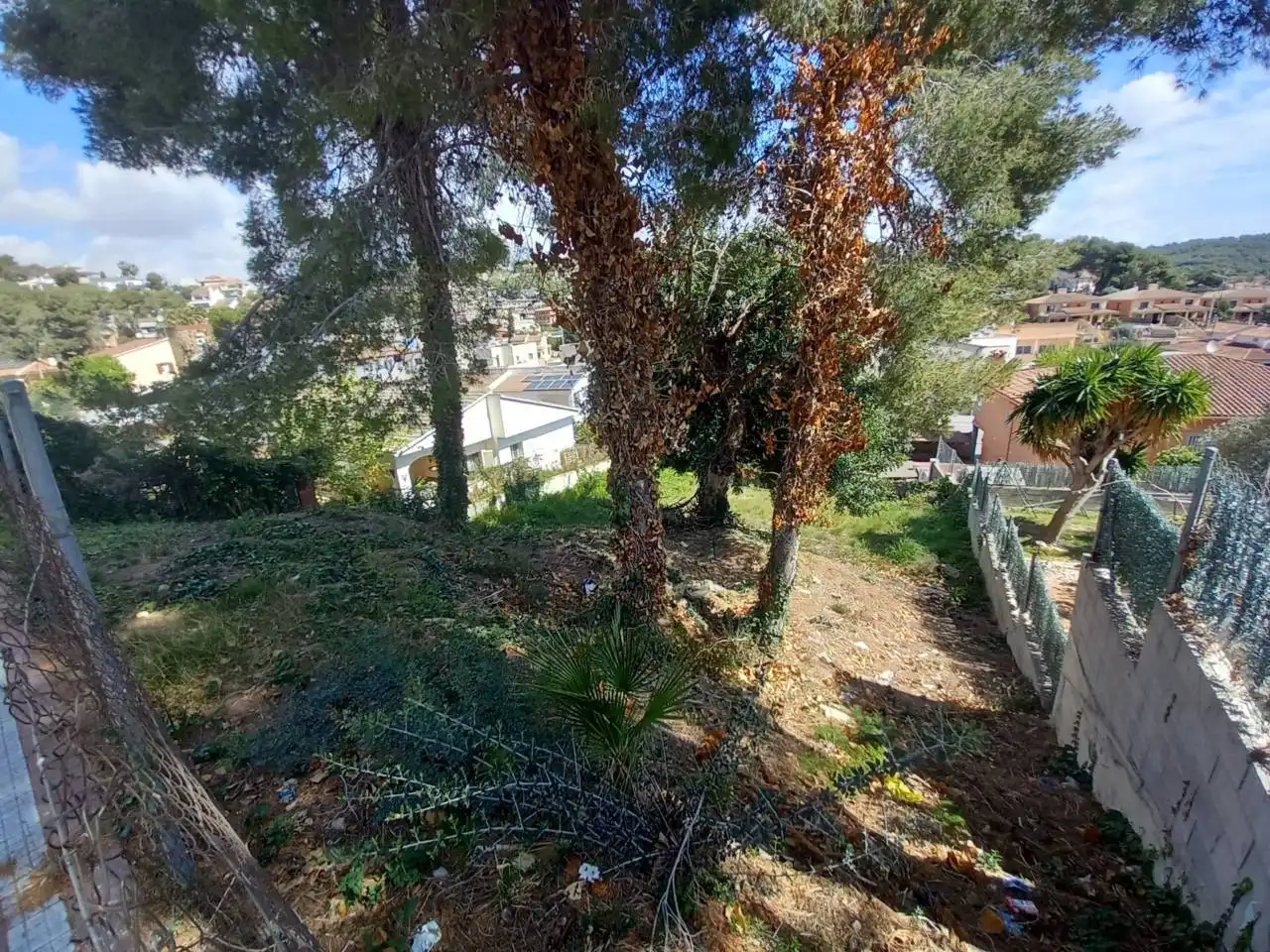 Terrain rustique à vendre à Calle HORTENSIA 13, imagen 2