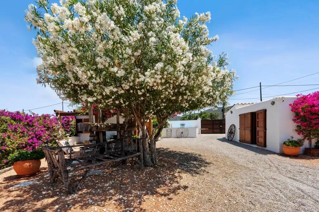 Casa rústica con piscina en venta en Port d'Andratx, imagen 16