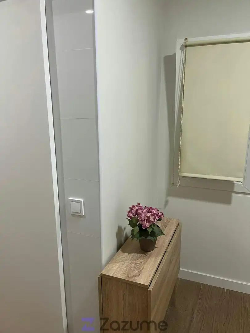Bany de Apartament de lloguer en Madrid amb Aire condicionat, Calefacció i Parquet