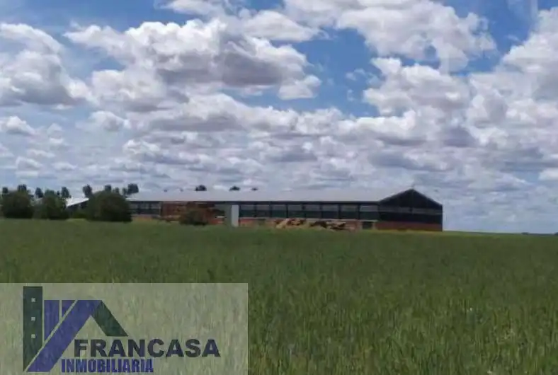 Nau industrial en venda en San Vicente del Palacio