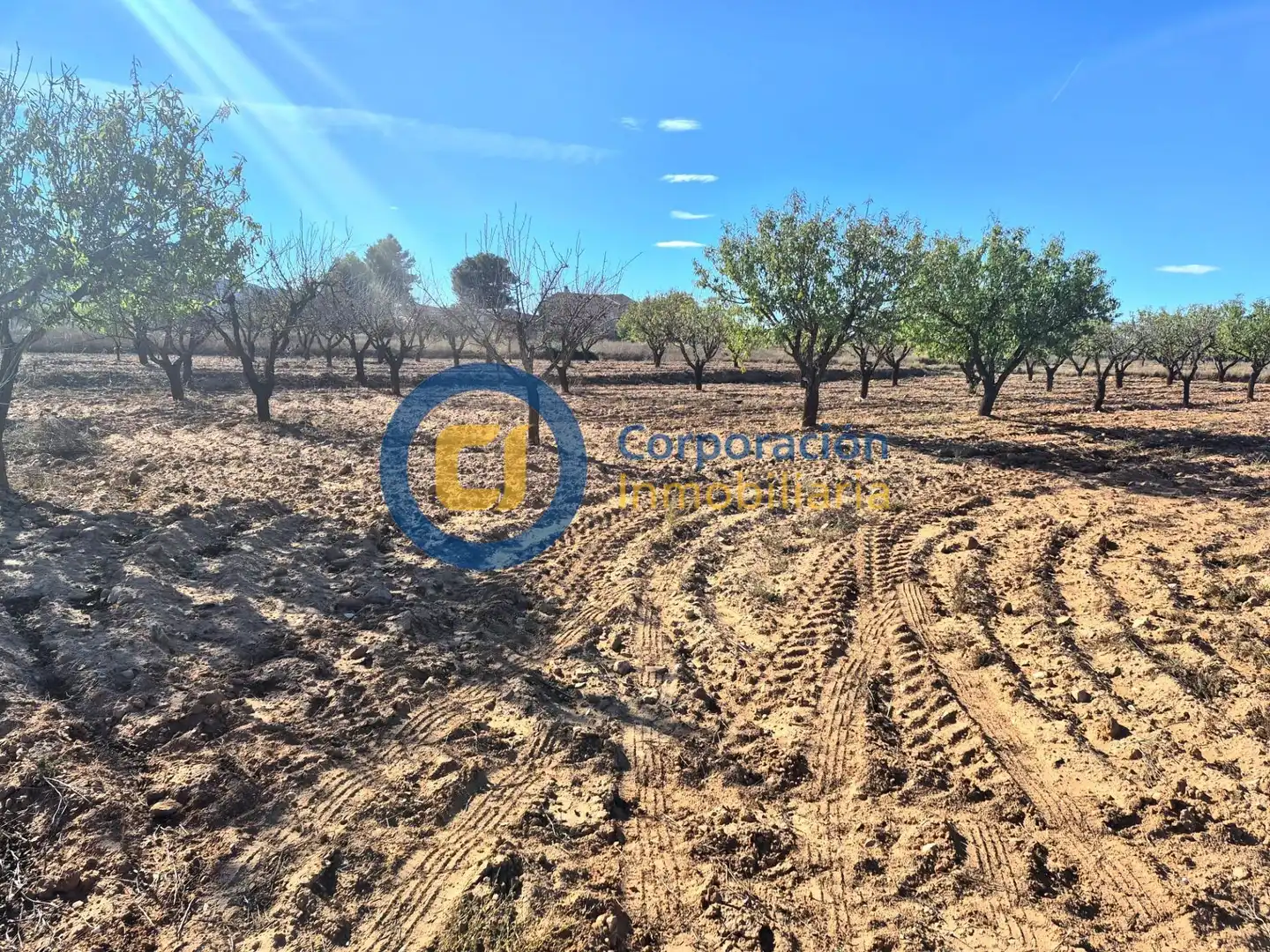 Terreny residencial en venda a Pedanías Sur, imagen 2