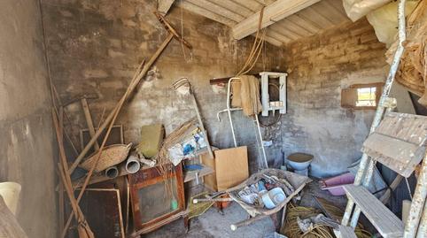 Foto 2 de Finca rústica en venda a Eucaliptus - Poble Nou del Delta, Tarragona