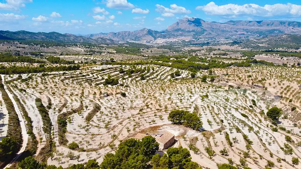 Finca rústica en venta en Jijona / Xixona