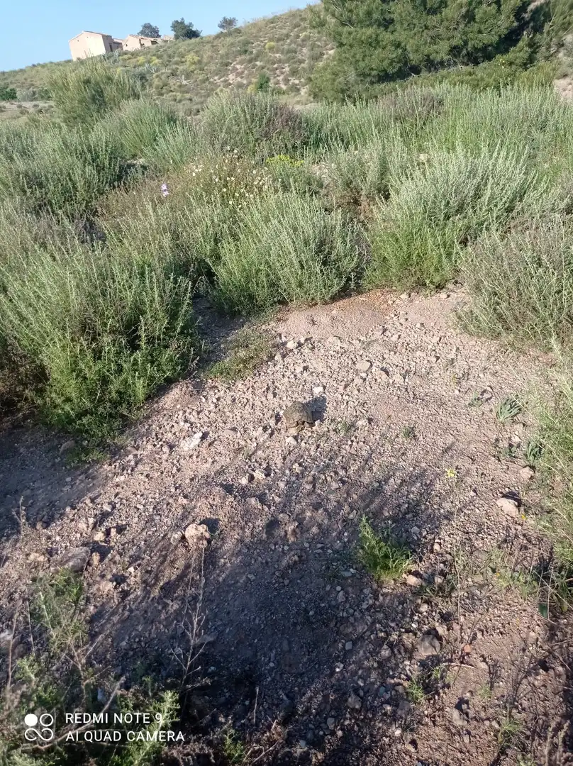 Terrains et parcelles à vendre à Pedanías Centro, imagen 28