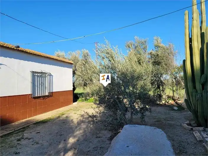 Casa rústica en venda a Écija, imagen 7