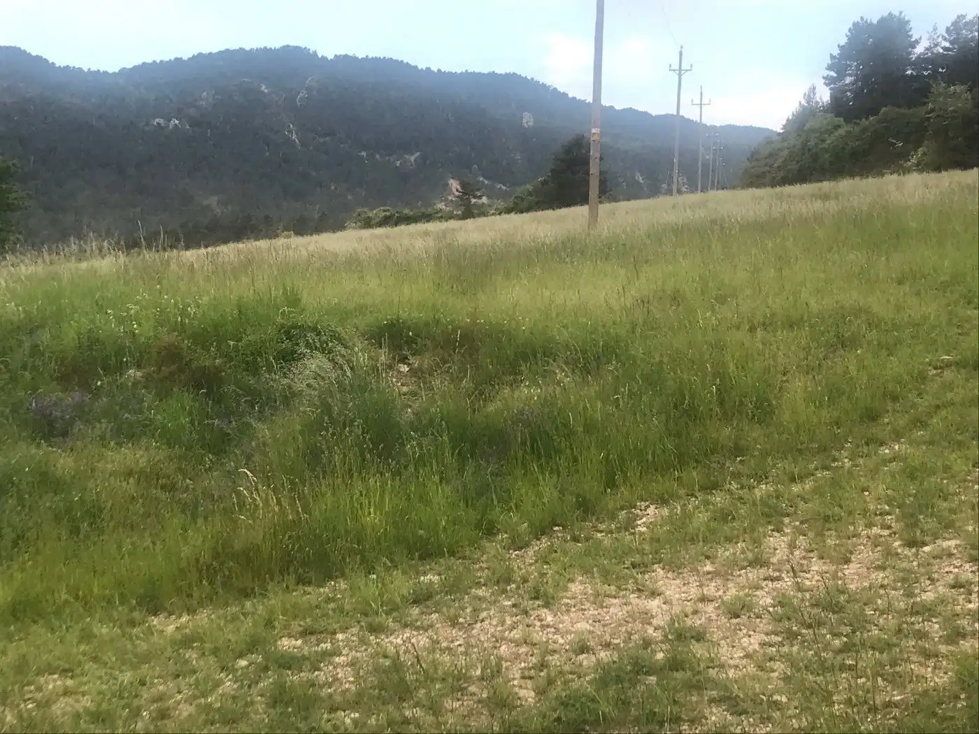 Wohnbaugrundstück zum Verkauf in Berga, imagen 7