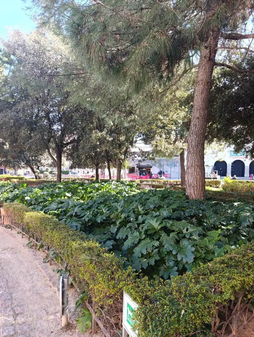 Business premises for transfer in Carrer dels Marquesos de Barberà 160, imagen 9