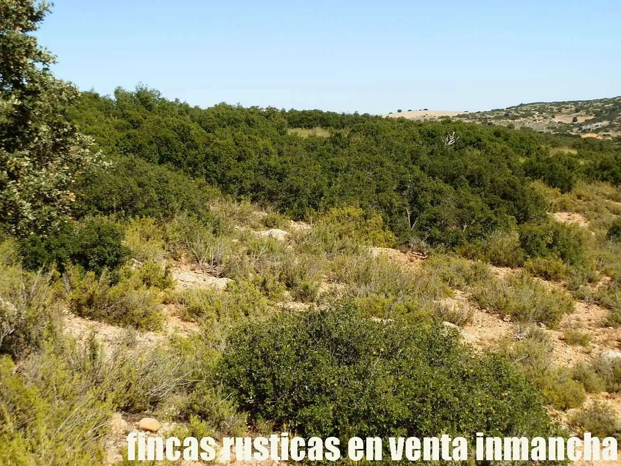 Terreno en venta en Albacete