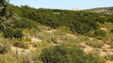 Photo 2 of Land for sale in San Antonio Abad, Albacete
